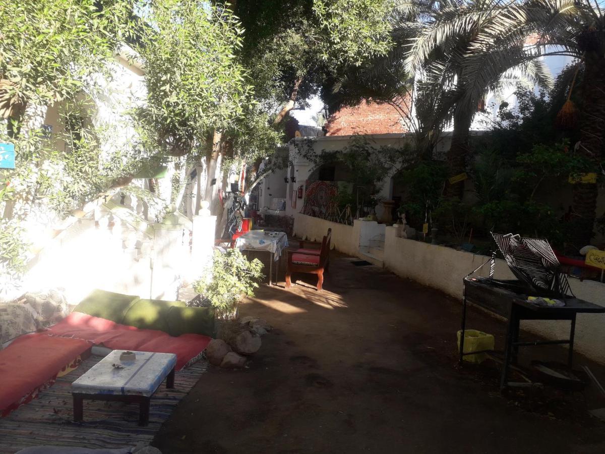 Fighting Kangaroo Camp Hotel Dahab Exterior foto
