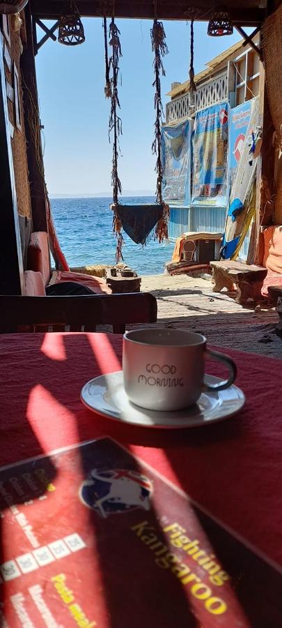 Fighting Kangaroo Camp Hotel Dahab Exterior foto