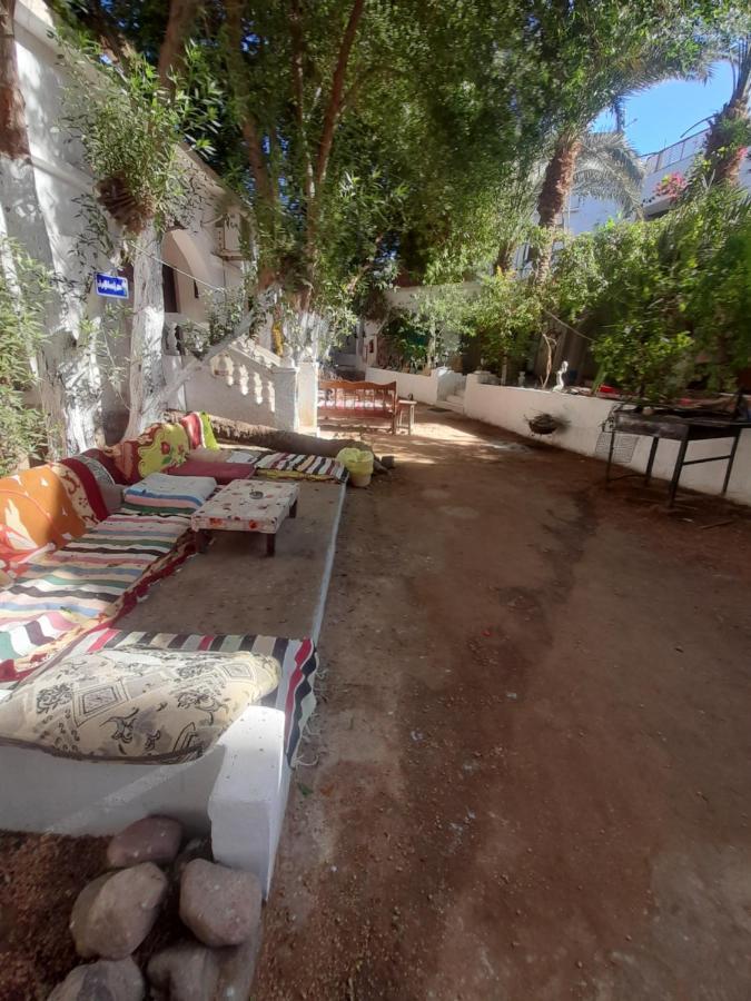Fighting Kangaroo Camp Hotel Dahab Exterior foto