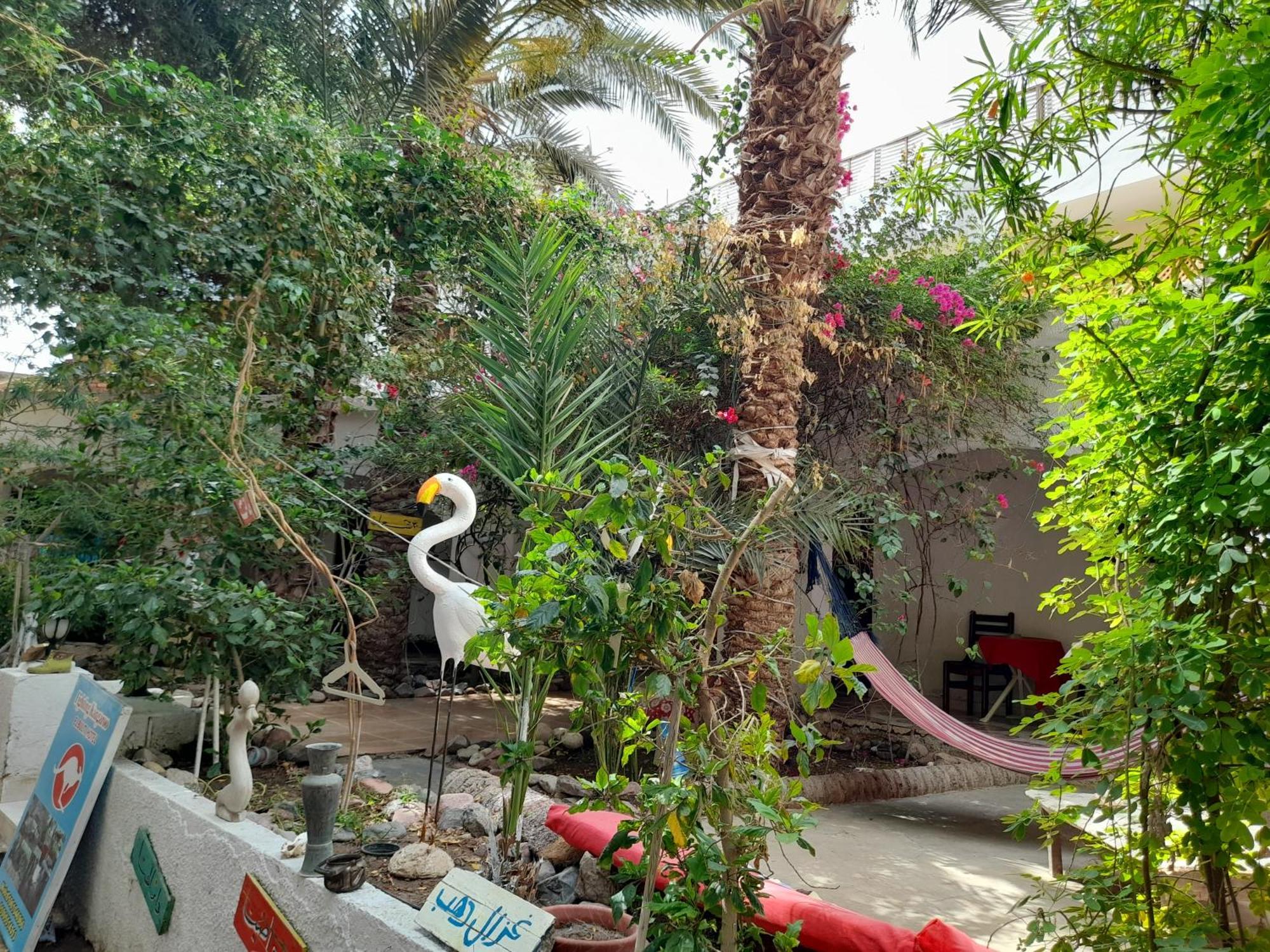 Fighting Kangaroo Camp Hotel Dahab Exterior foto
