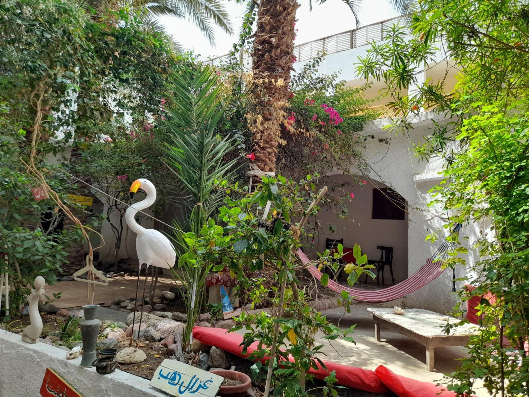 Fighting Kangaroo Camp Hotel Dahab Exterior foto
